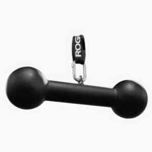 Rogue Fitness Dog Bone Pull-up Bar image