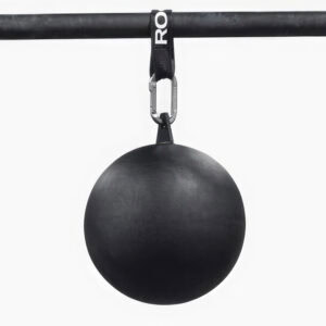 Rogue Fitness 12" Pull-up Globe image